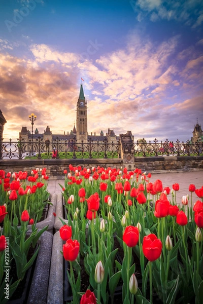 Obraz View of Canada Parliament building in Ottawa during tulip festival