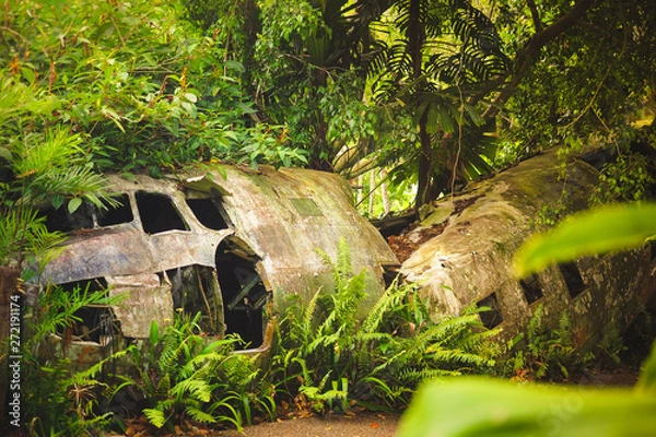 Fototapeta Crashed plane in the rainforest