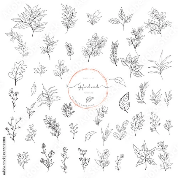 Obraz Hand Drawn Leaf Wreath Logo Design