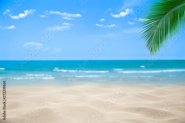 Fototapeta Beach with blurry blue ocean and sky,palm tree background ,Summer Concept .