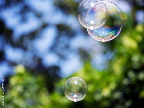 Obraz Abstract background with soap bubbles, close up, with reflection