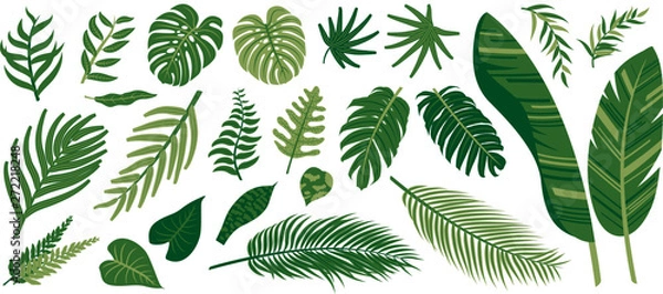 Obraz Tropical leaves on white background vector illustration