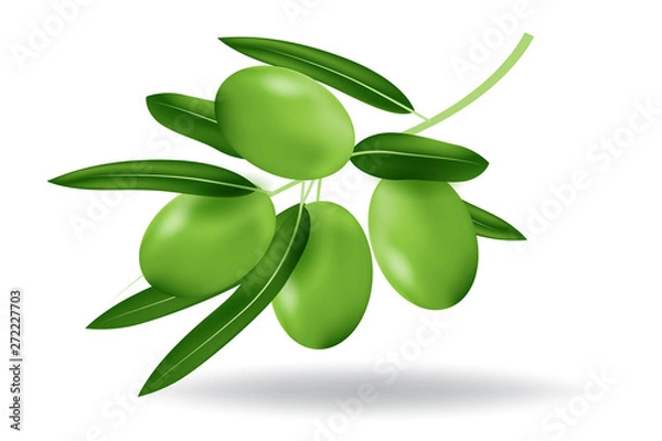 Obraz 3d realistic of olive fruit on isolated white background