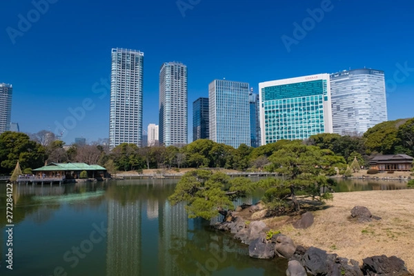 Fototapeta 浜離宮恩賜庭園 潮入の池