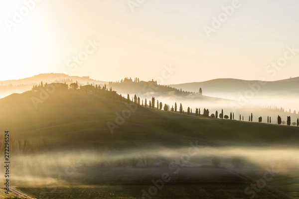 Fototapeta sunrise over a fields and hills in Tuscany