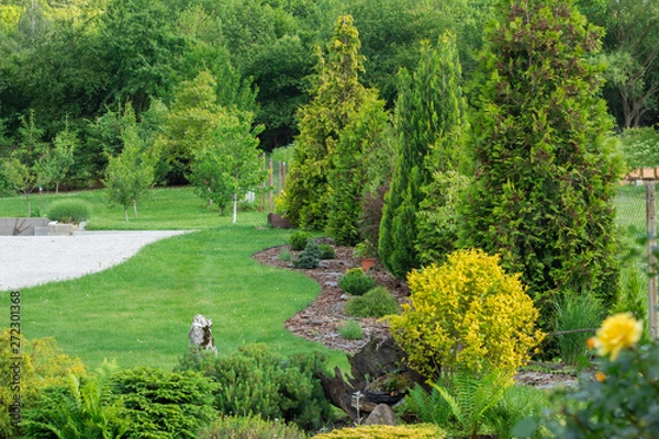Obraz home garden with decorative trees and plants