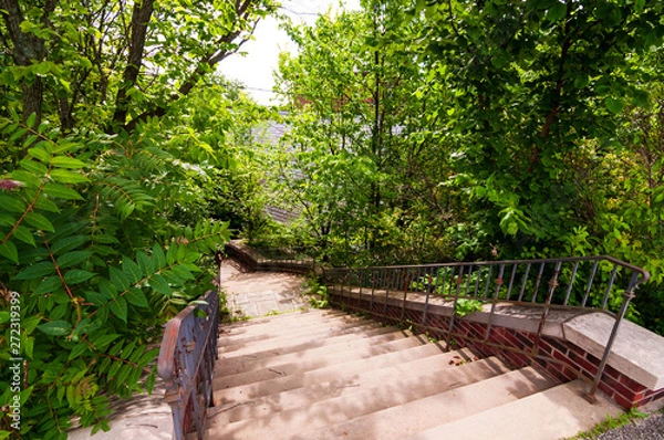 Obraz Steps in the woods in Highland Park, located in Pittsburgh, Pennsylvania, USA on a sunny day