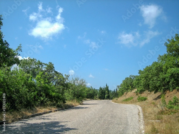 Fototapeta A narrow asphalt road on a hot Sunny day past evergreen trees and sun-scorched grass.