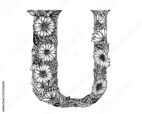 Fototapeta U is for Ursinia