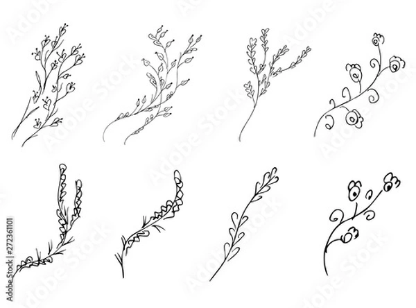 Fototapeta Flowers and branches hand drawn collection isolated on white background. Floral graphic elements big  set. Doodle style