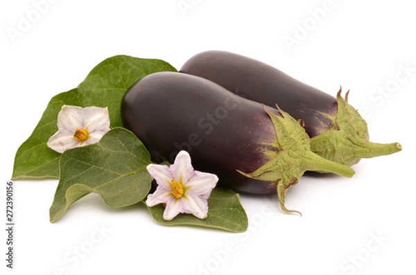 Obraz Eggplant