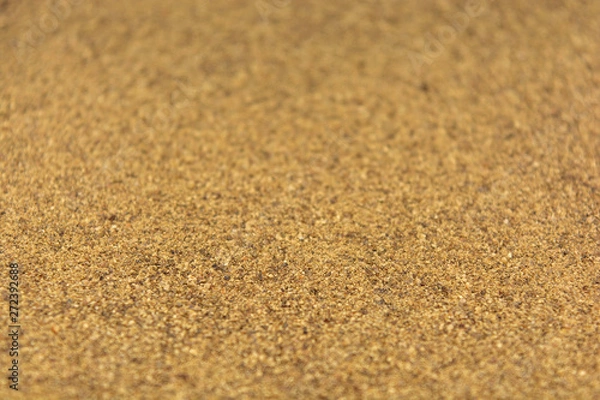 Obraz Photo of closeup texture of hot spice of black pepper for different food, background