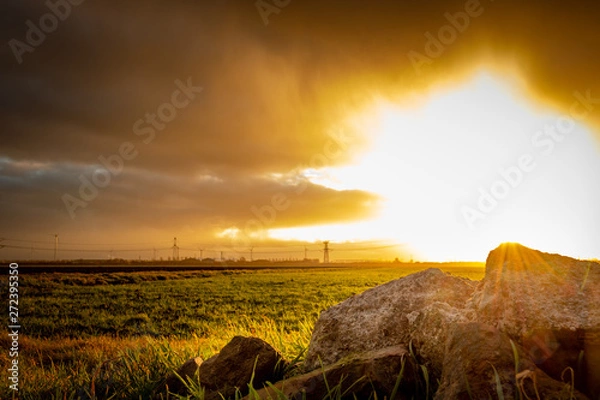 Fototapeta Sunset in Hoek van Holland Netherlands