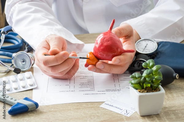 Fototapeta At doctors appointment physician shows to patient shape of prostate gland with focus on hand with organ. Scene explaining patient causes and localization of diseases of prostate, problems and signs