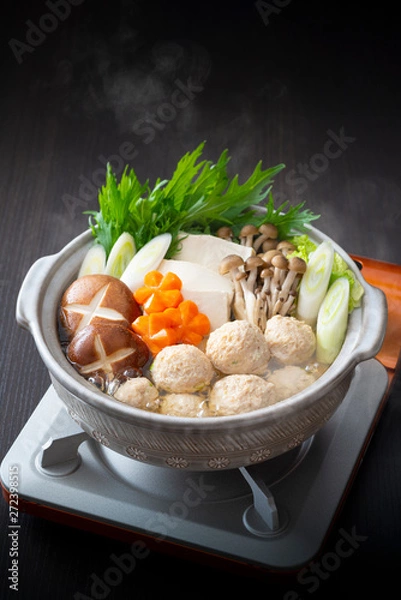 Obraz 鶏団子鍋