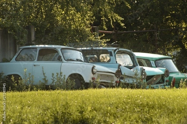 Fototapeta Four car wrecks stand in grass under trees.Four deserted cars in blue, green and beige color ,rot and rust in nature.
