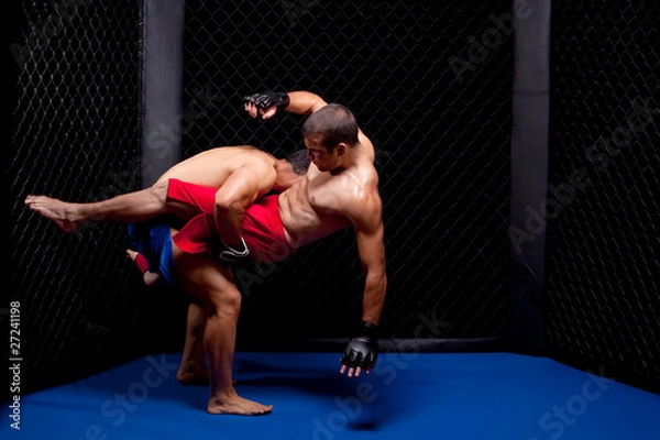 Obraz Mixed martial artists fighting