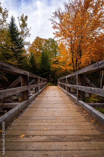Fototapeta Wooden bridge in the Regional Park of Hautes-Gorges of the Malbaie River at autumn time