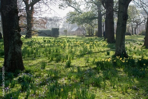 Fototapeta jardin fleuri