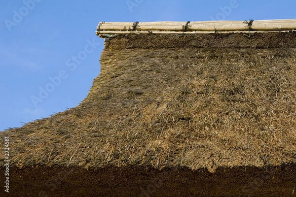 Fototapeta thatched roof