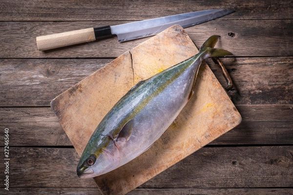 Obraz Hamachi fish waiting to be dissected
