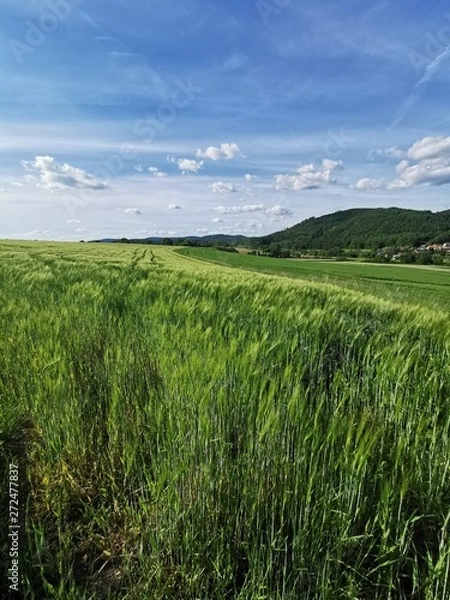 Obraz Himmel mit Wiese