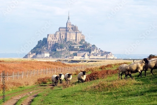 Obraz Moutons pré-salé