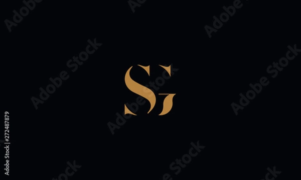 Fototapeta SG logo design template vector illustration
