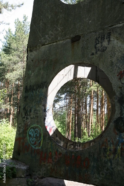 Obraz Window to the forest 