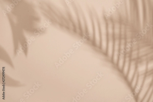 Fototapeta Widok z góry na zielony tropikalny liść cień na tle koloru piasku. Leżał na płasko. Minimalna koncepcja lato z liściem palmy. Creative copyspace.