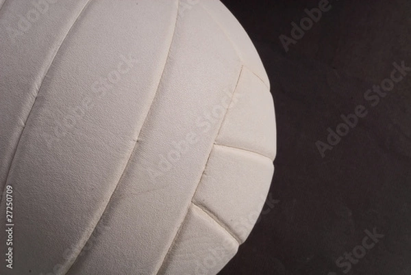 Obraz Volleyball Background