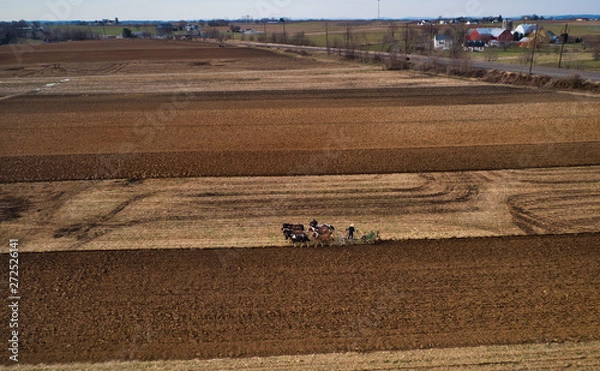Fototapeta Aerial View of Amish Farm Worker Turning the Field in Early Spring as Seen by a Drone