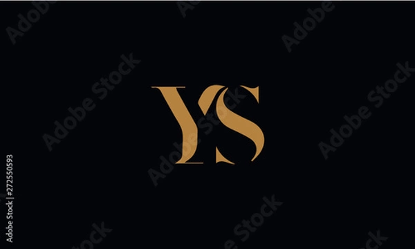 Obraz YS logo design template vector illustration