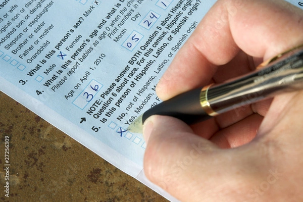 Obraz United States Census 2010