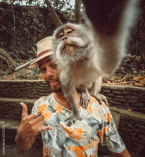 Fototapeta Balinese monkey takes selfie with a tourist. White caucasian guy in a selfie with a monkey