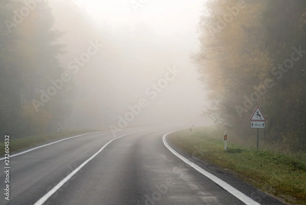 Fototapeta Driving on countryside road in fog. Illustration of dangers of d