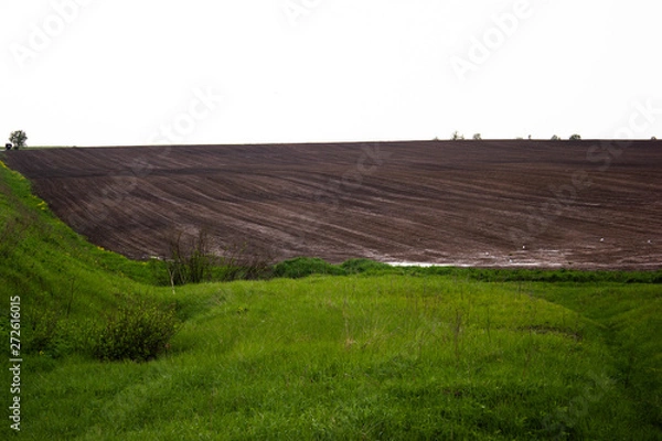 Obraz field rural landscape