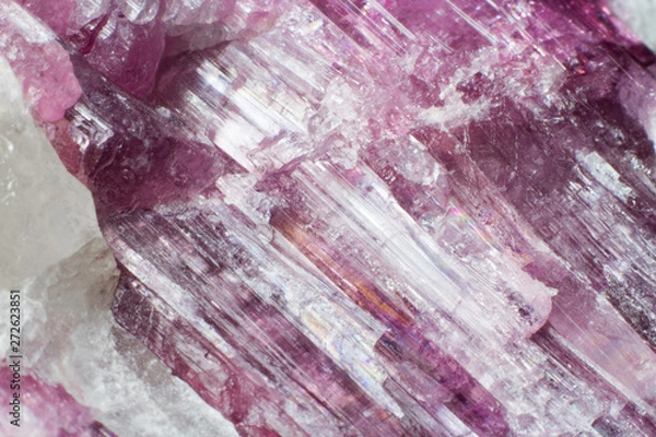 Fototapeta Macro texture of natural mineral pink elbaite