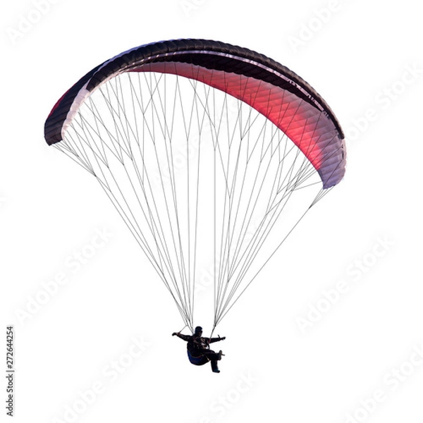 Fototapeta Beautiful paraglider in flight. isolated