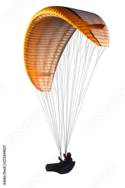 Obraz Beautiful paraglider in flight. isolated
