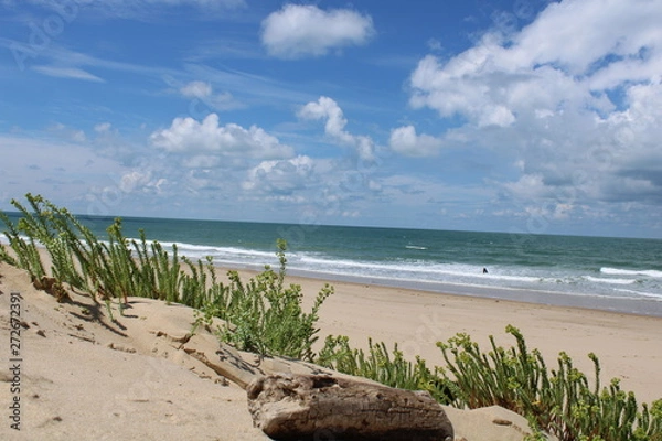 Obraz La Côte Sauvage