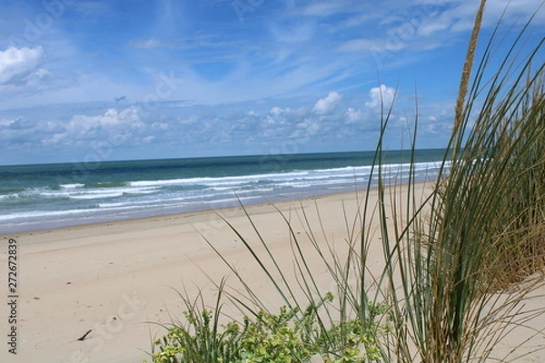 Obraz La Côte sauvage