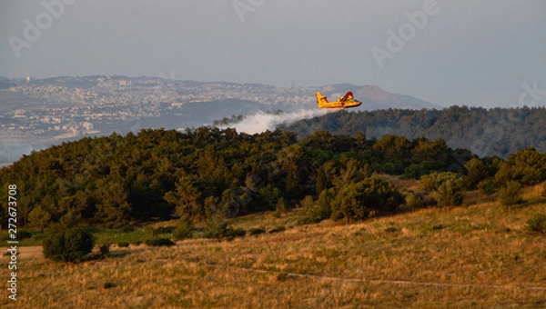 Obraz Putting out a fire with a plane