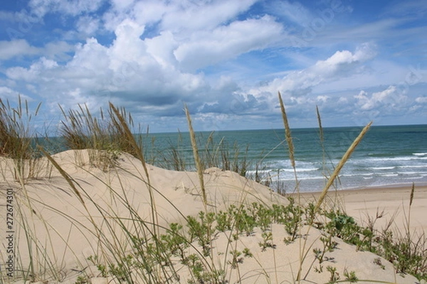 Obraz La Côte Sauvage