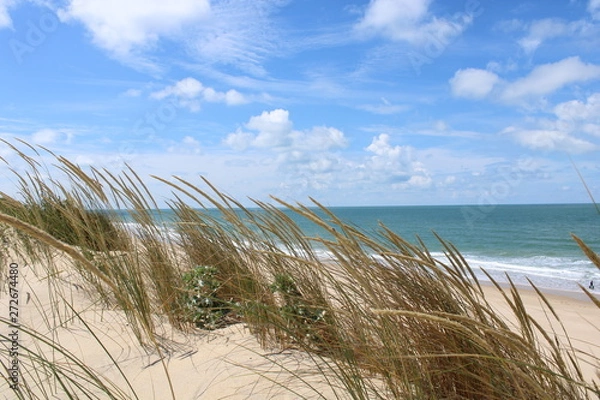 Obraz La Côte Sauvage