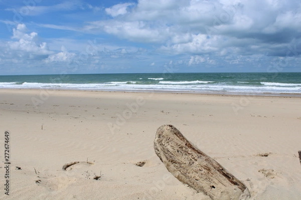 Obraz La Côte sauvage