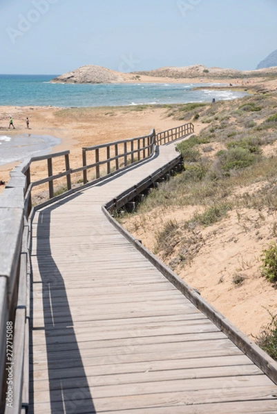 Fototapeta wooden walkway to access the beach