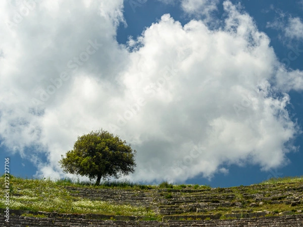 Obraz Lonely tree and sky at Dodoni