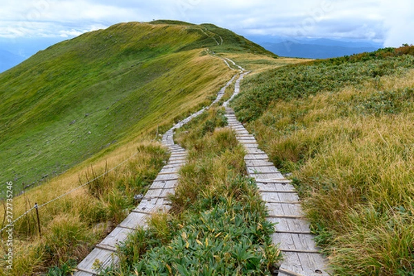 Obraz 月山から姥ヶ岳に向かう登山道