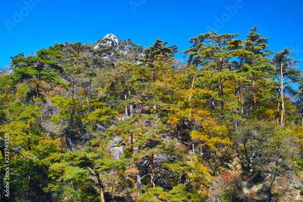 Fototapeta 紅葉シーズンの山梨、甲府市にある昇仙峡の遊歩道から見る猿岩